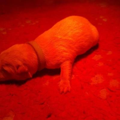 bébé dans sa première heure de vie 
