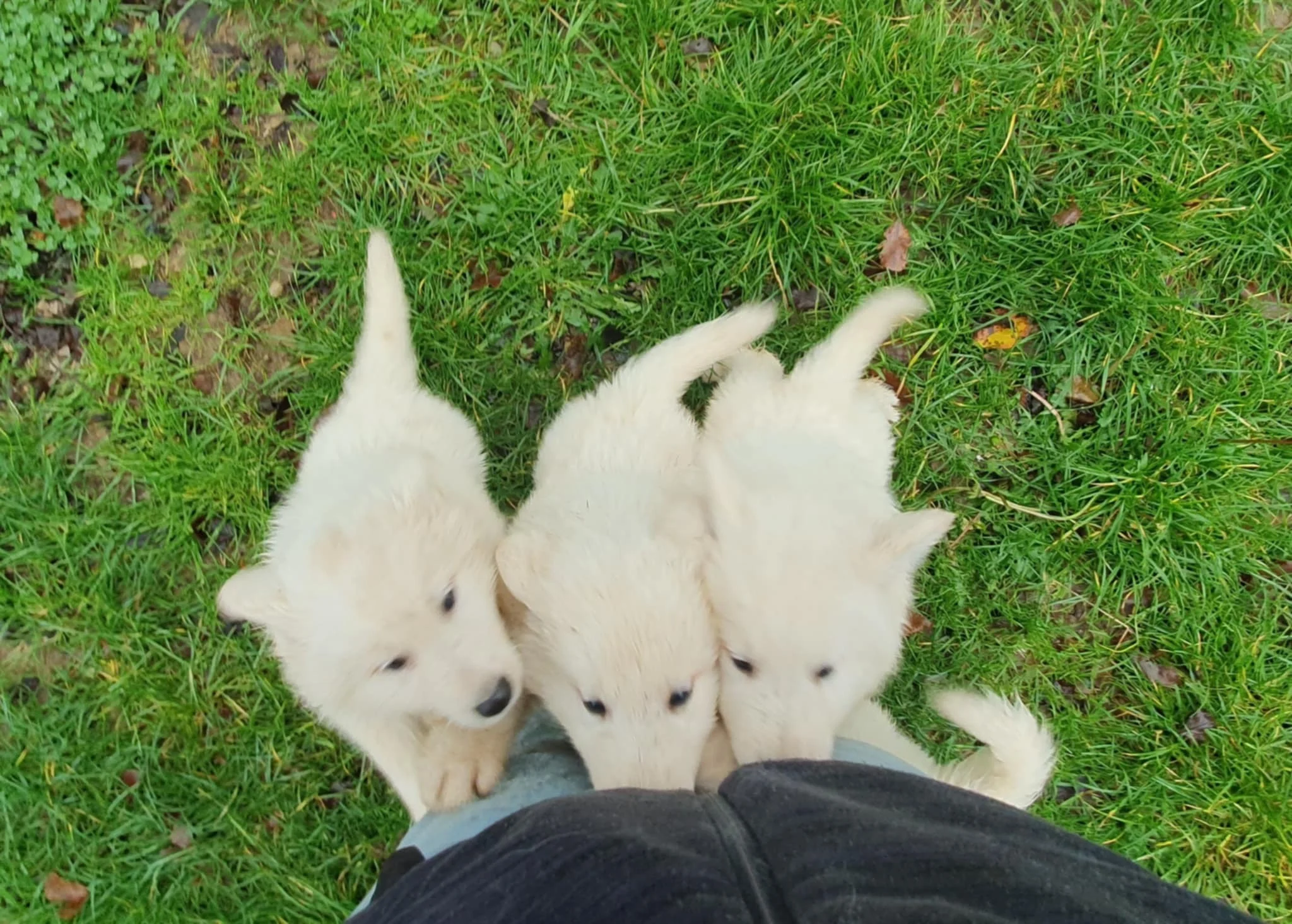 dur dur de faire des photos avec ses pots de colle !