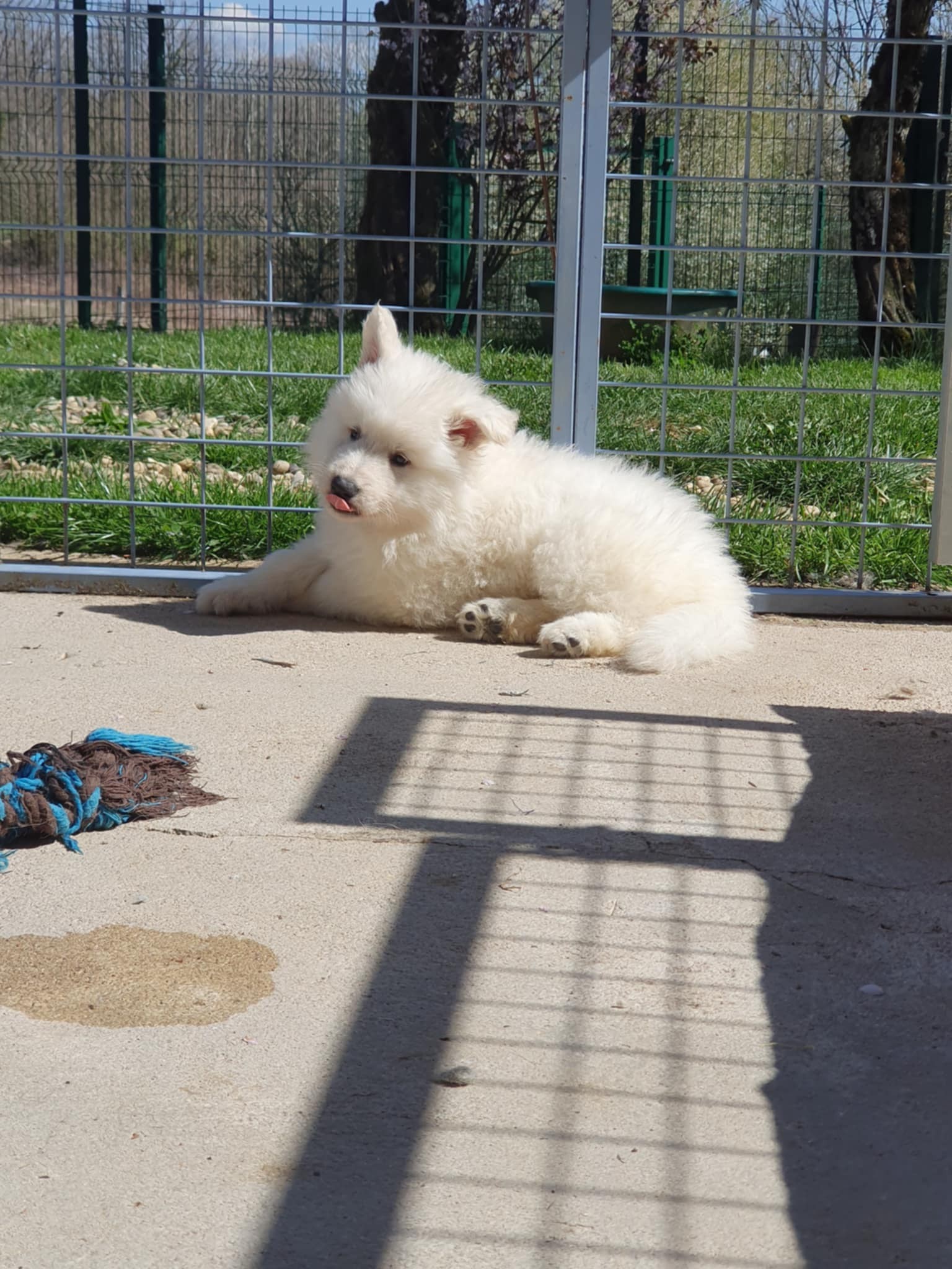 je prend le soleil 