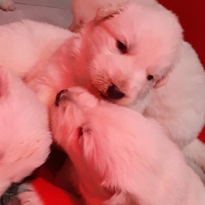 que de tendresse 