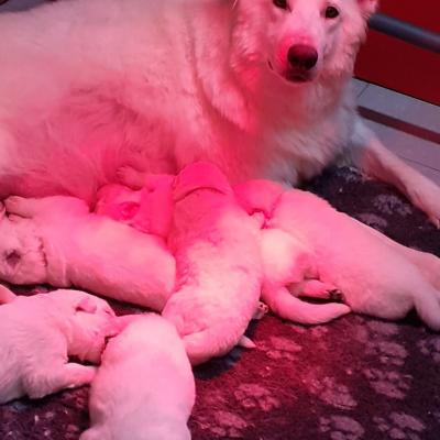une super maman !