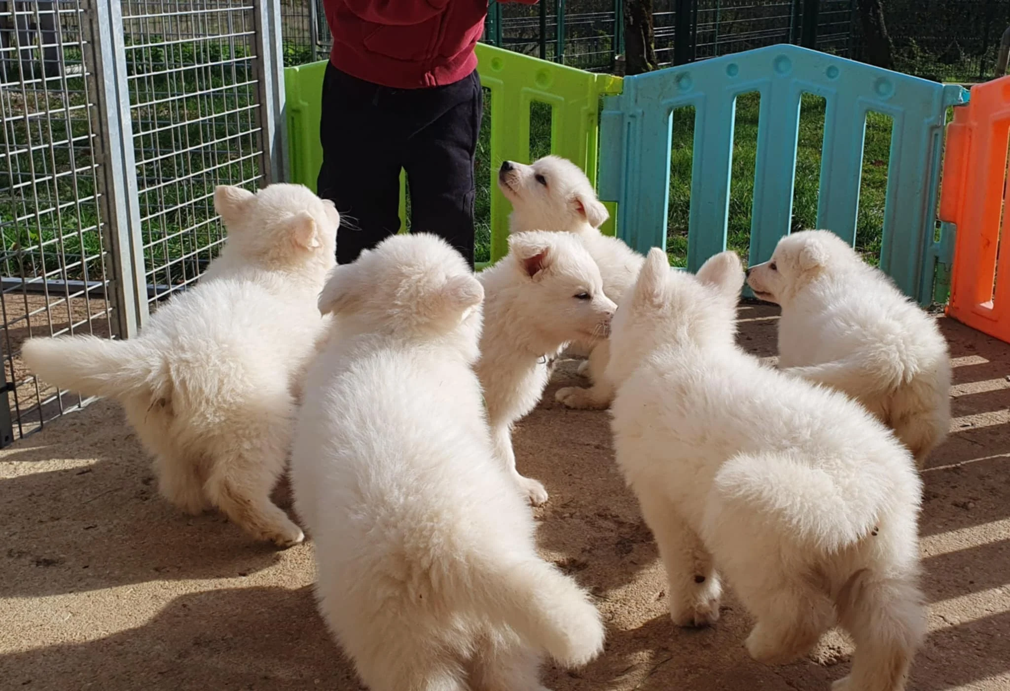 il est cool ce bonhomme 