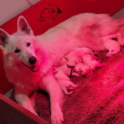 1er jours avec maman