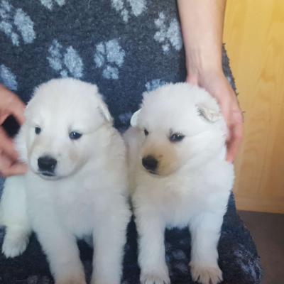 2 fifilles 