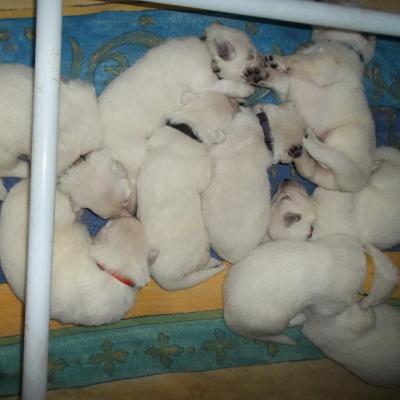 sa pousse <3 - 2 semaines 