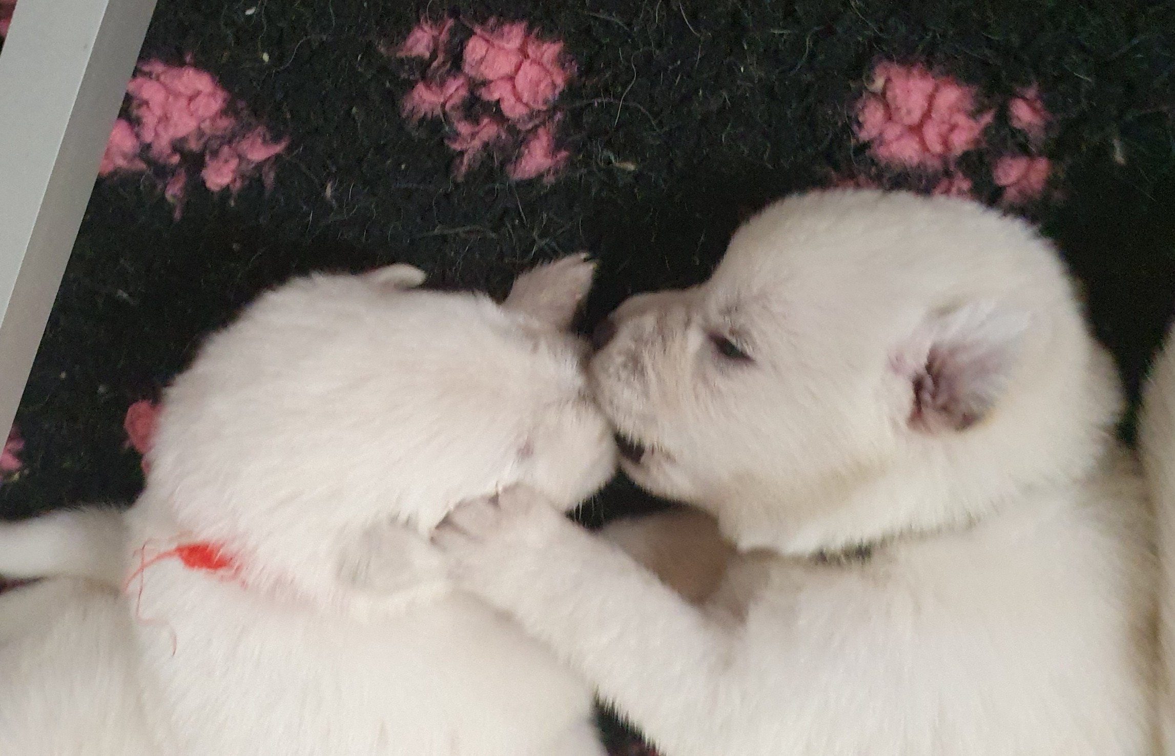 kiiiiiss !! bisou