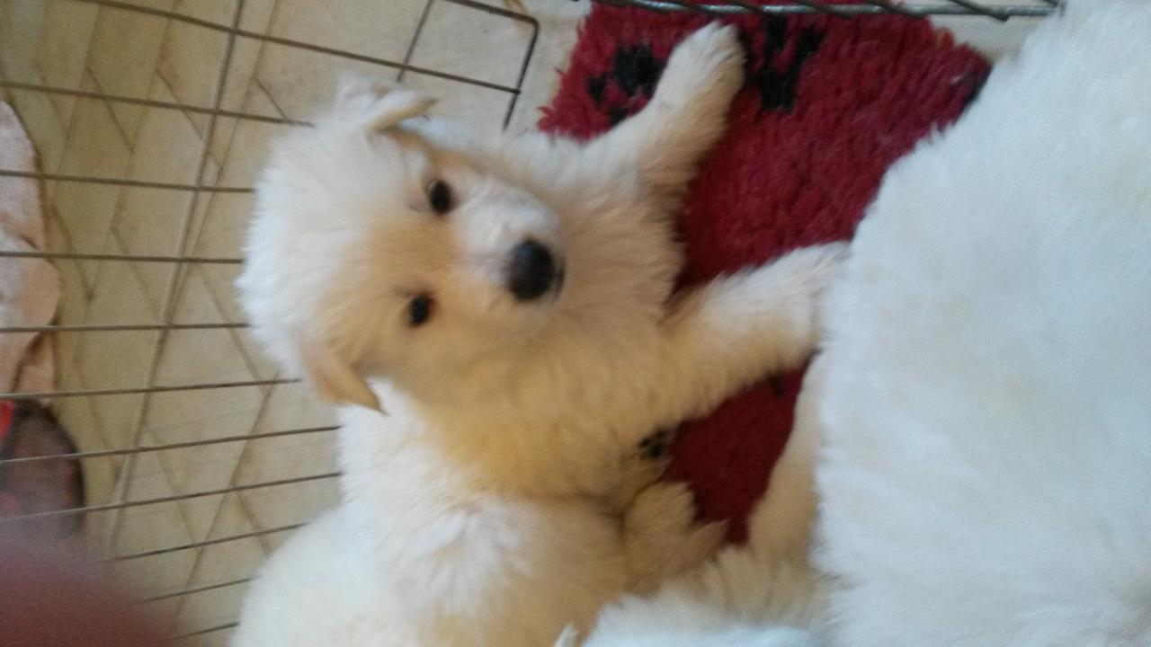 <3