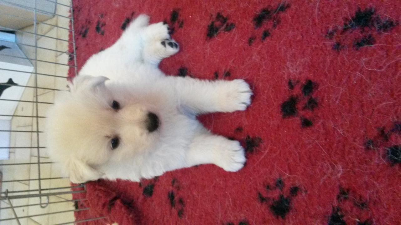 <3