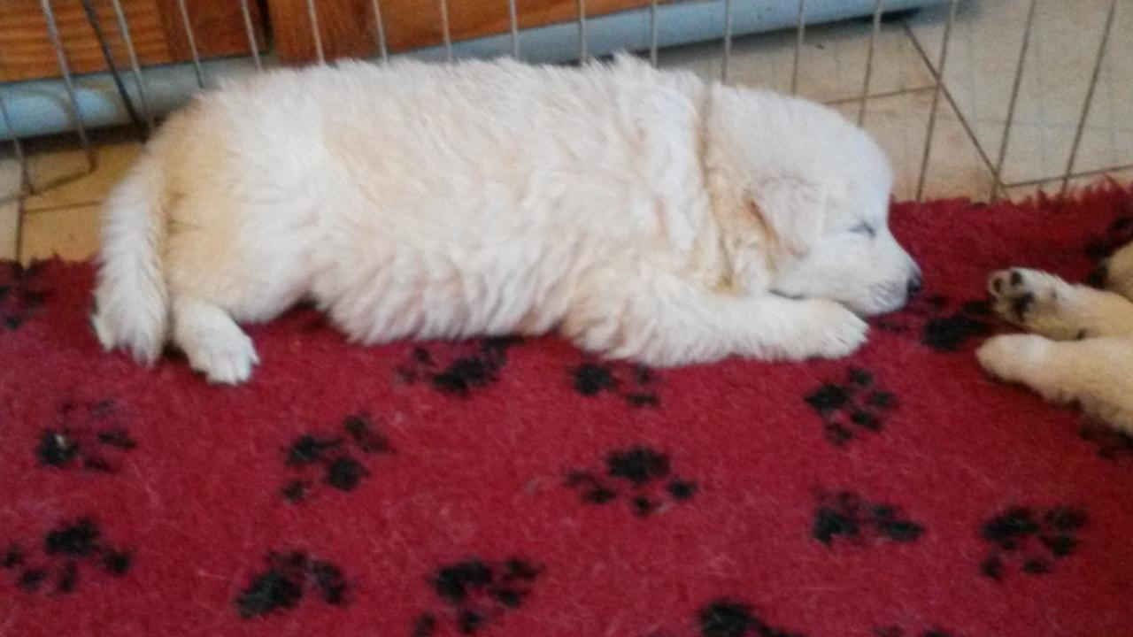 <3