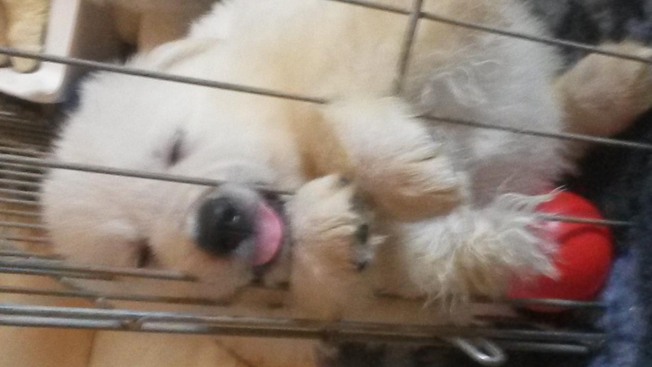 confortable pour dormir ;)