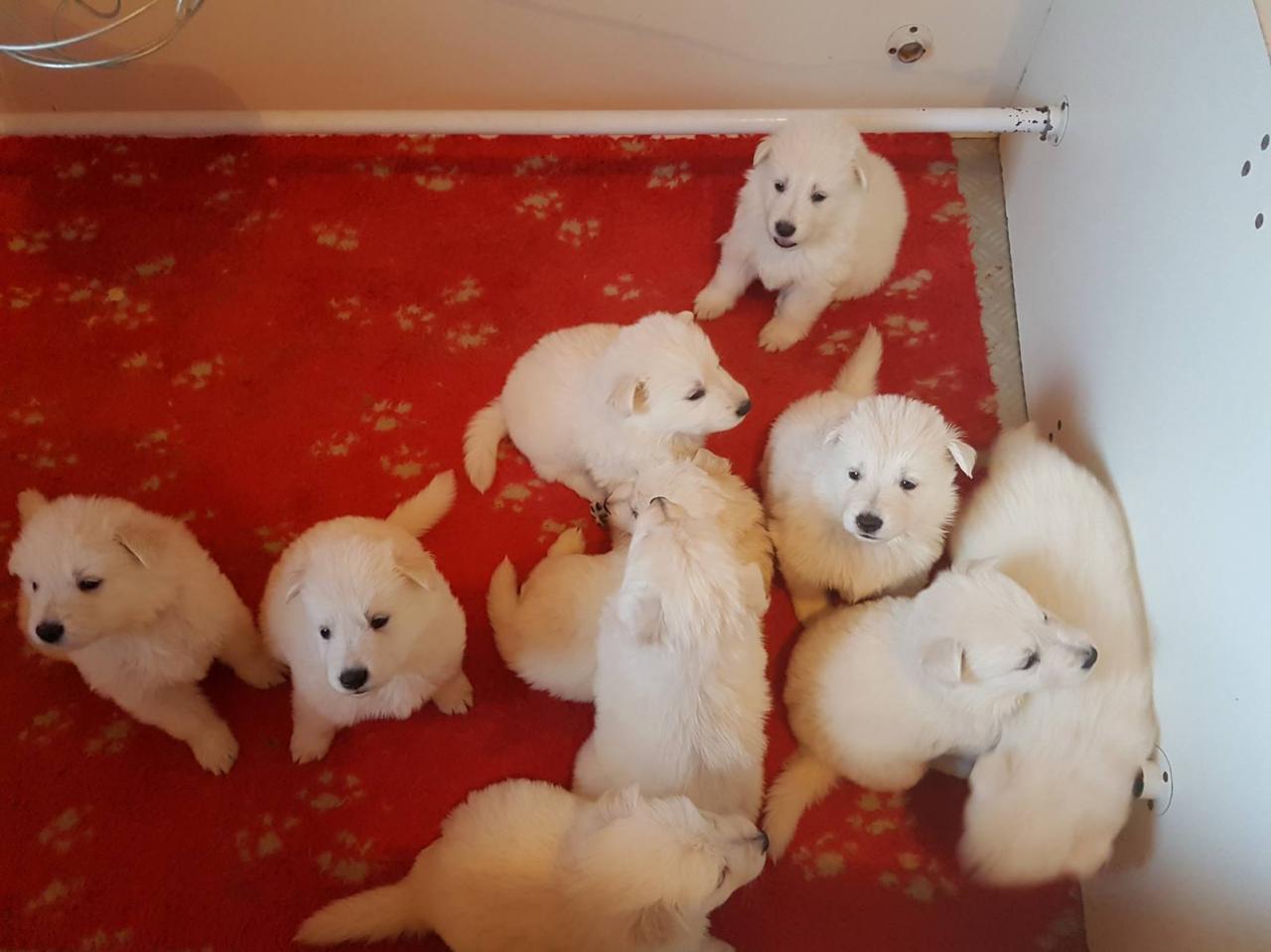 déja 1 mois pour les BabysZaza <3