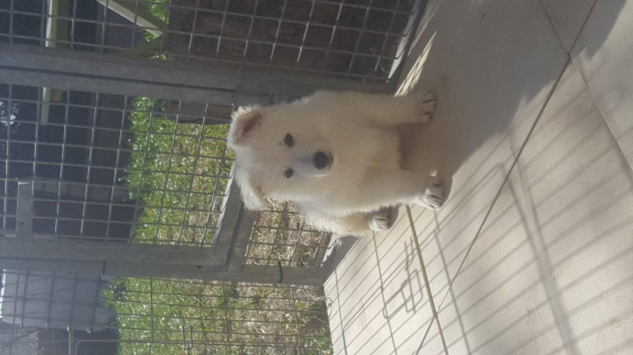 petite bouille !