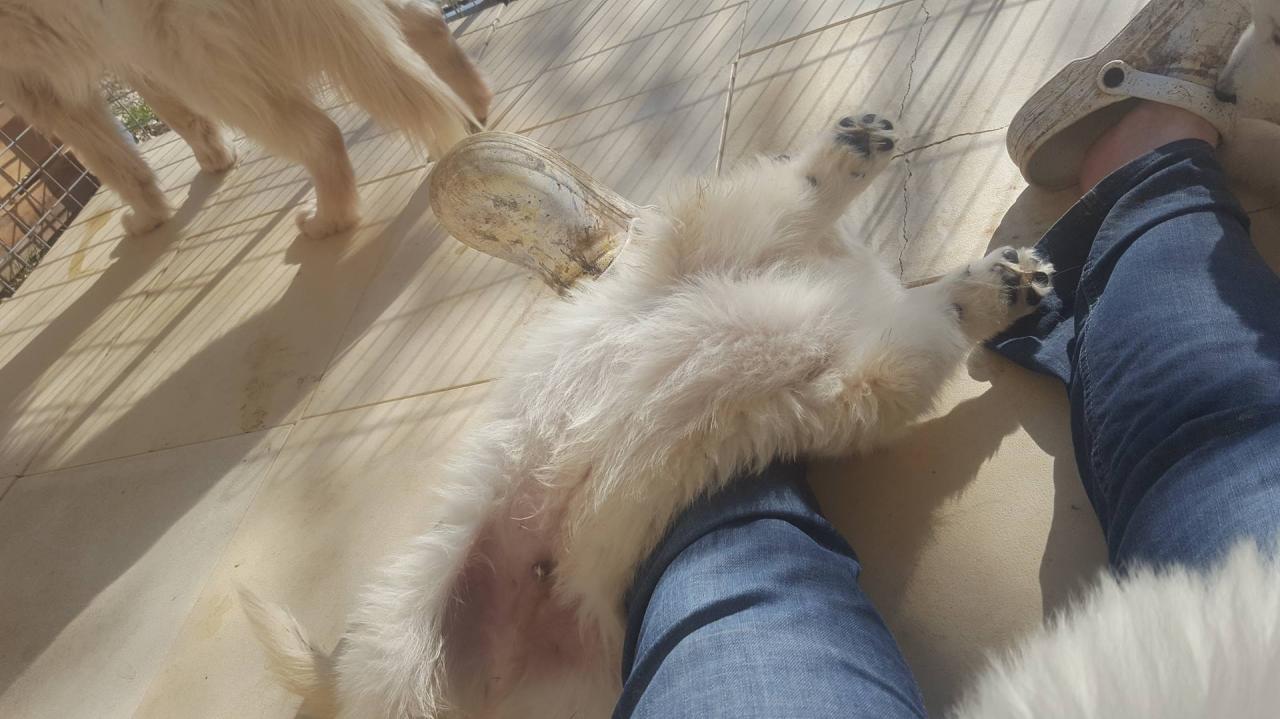 confortable ?
