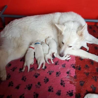 maman prend bien soin de nous - 1 semaine
