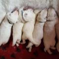 2 semaines , on mange bien !