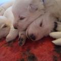 gros calin !