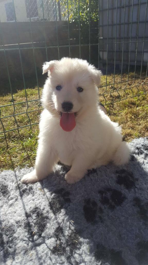 petite bouille