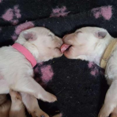 bisous entre frangines