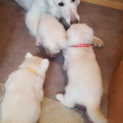 4 semaines , maman Flo joue bien aussi 
