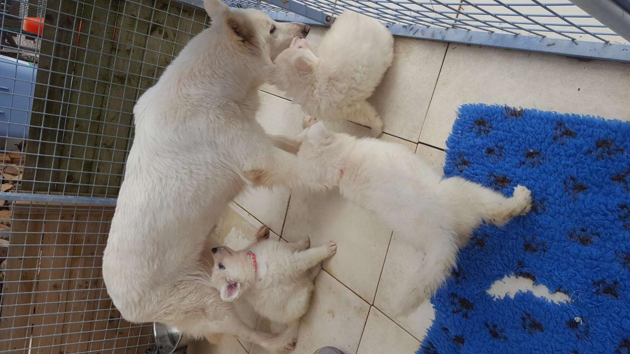 maman aime bien jouer avec ses bébés