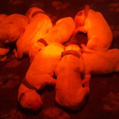 1er moment des bébés