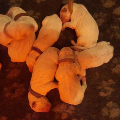 1er moment des bébés