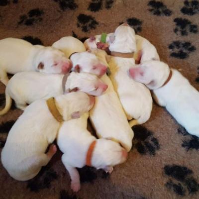 1 semaine pour les babys
