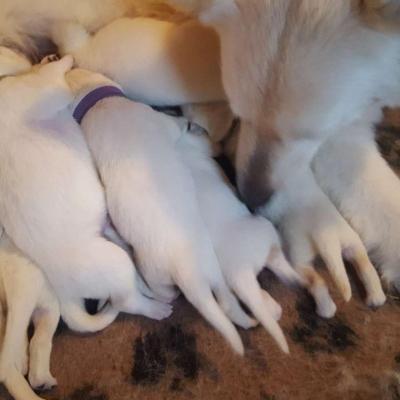 une maman attentive