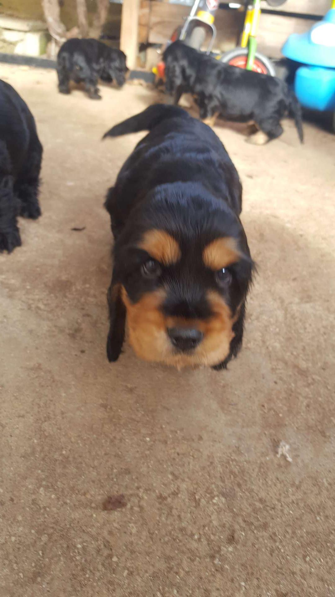 un petit curieux 