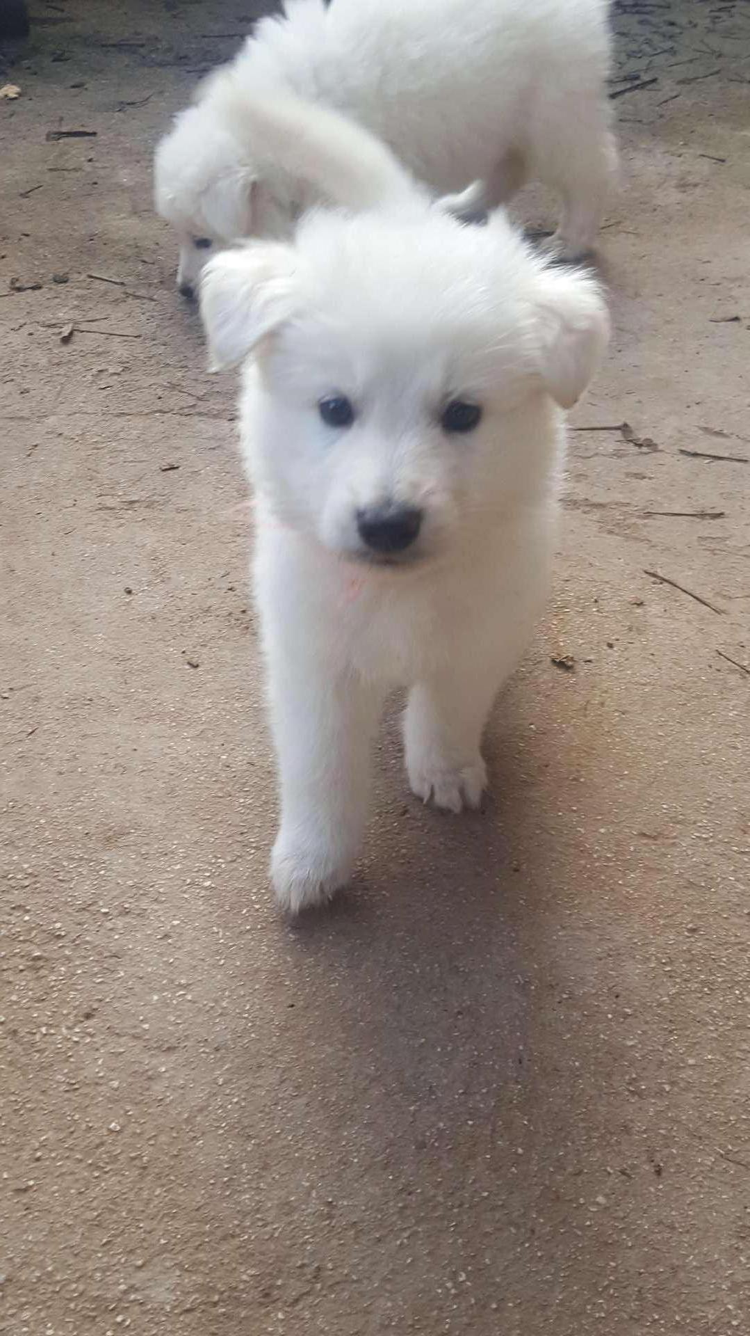 coucou toi