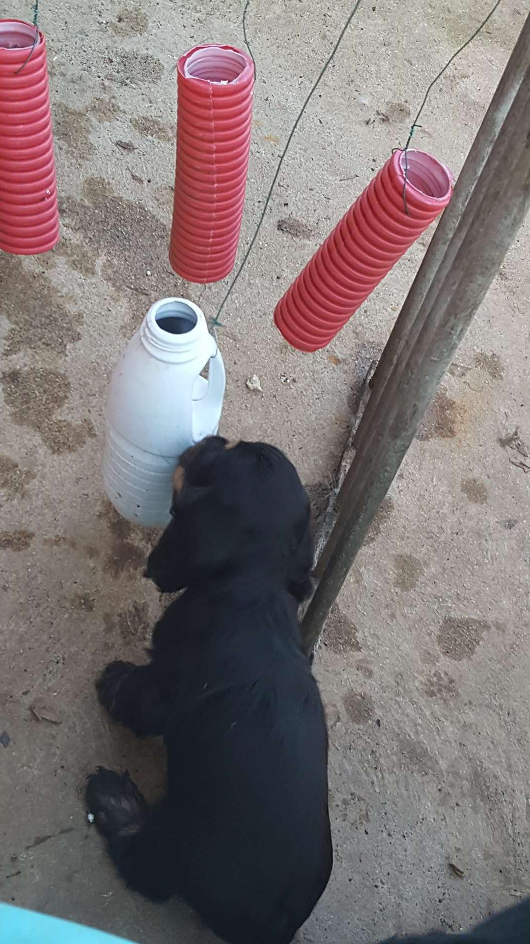 ca à l'air chouette !