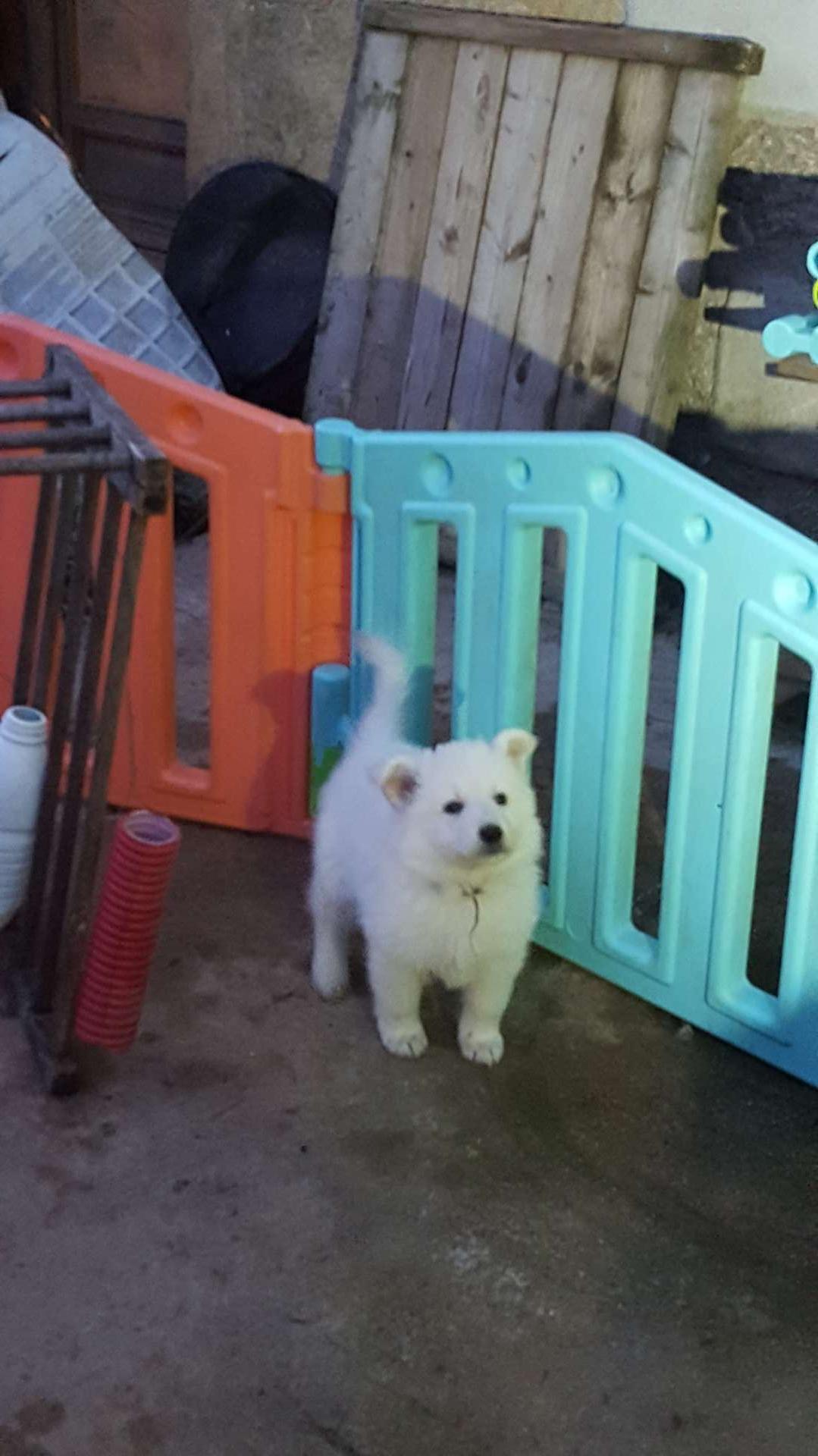 coucou toi