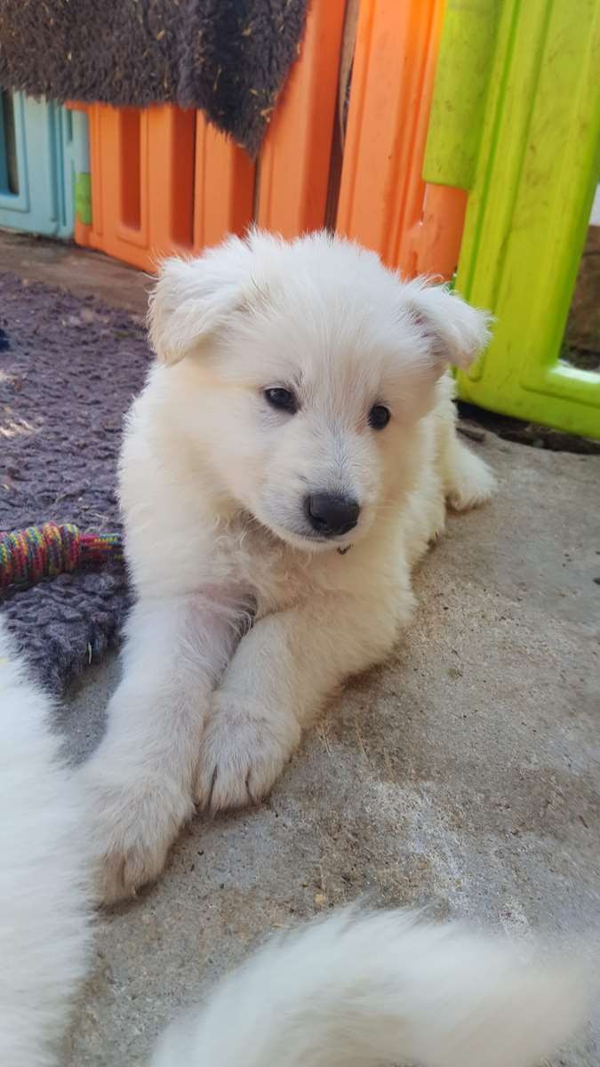 coucou toi