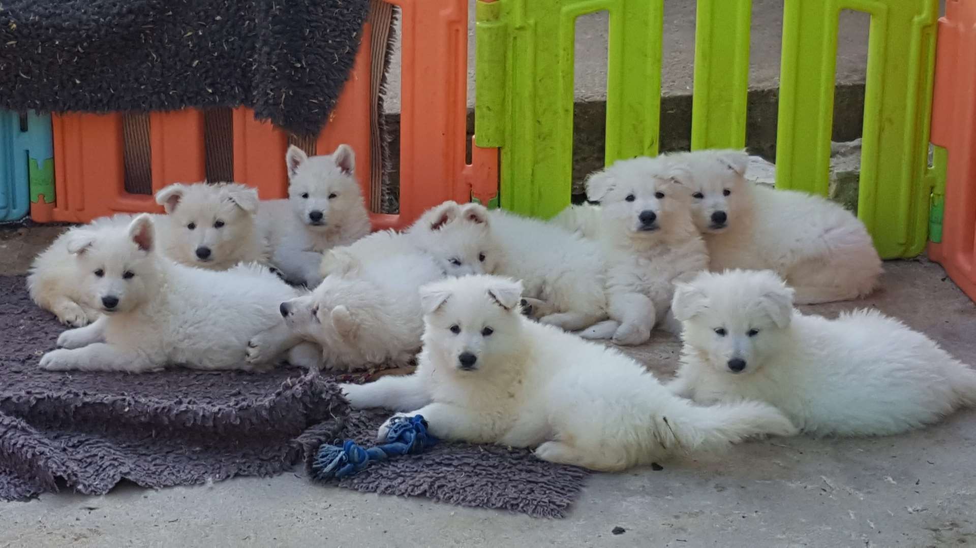 photo de famille 6 semaines 