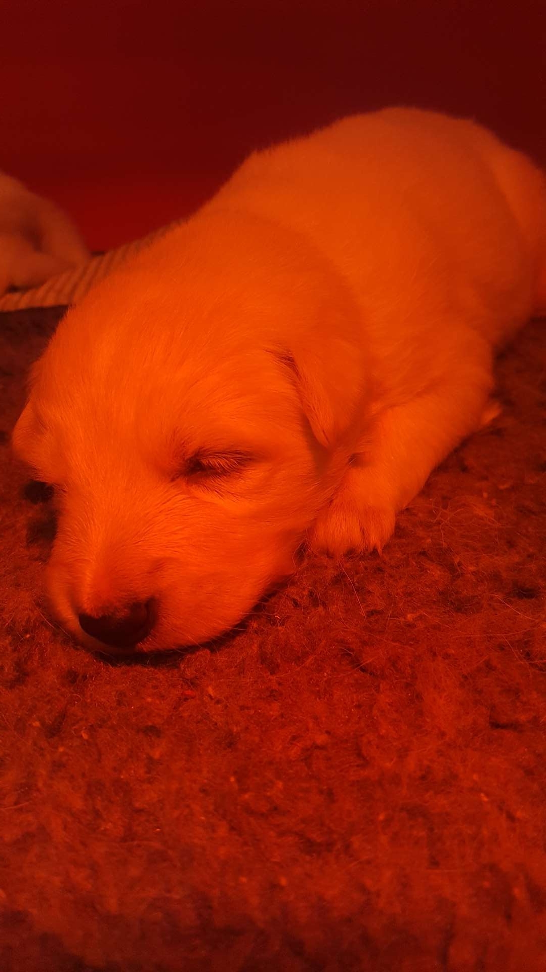 petite bouille