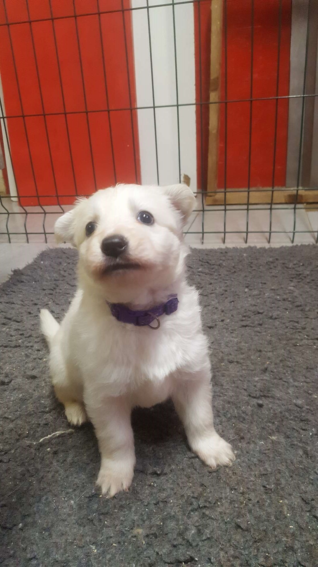 coucou toi
