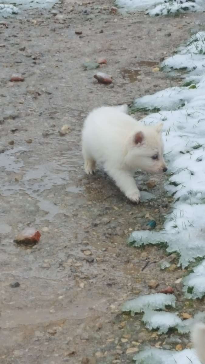 c'est bisard quand même c'est plutôt froid