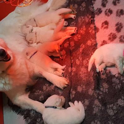 une super maman