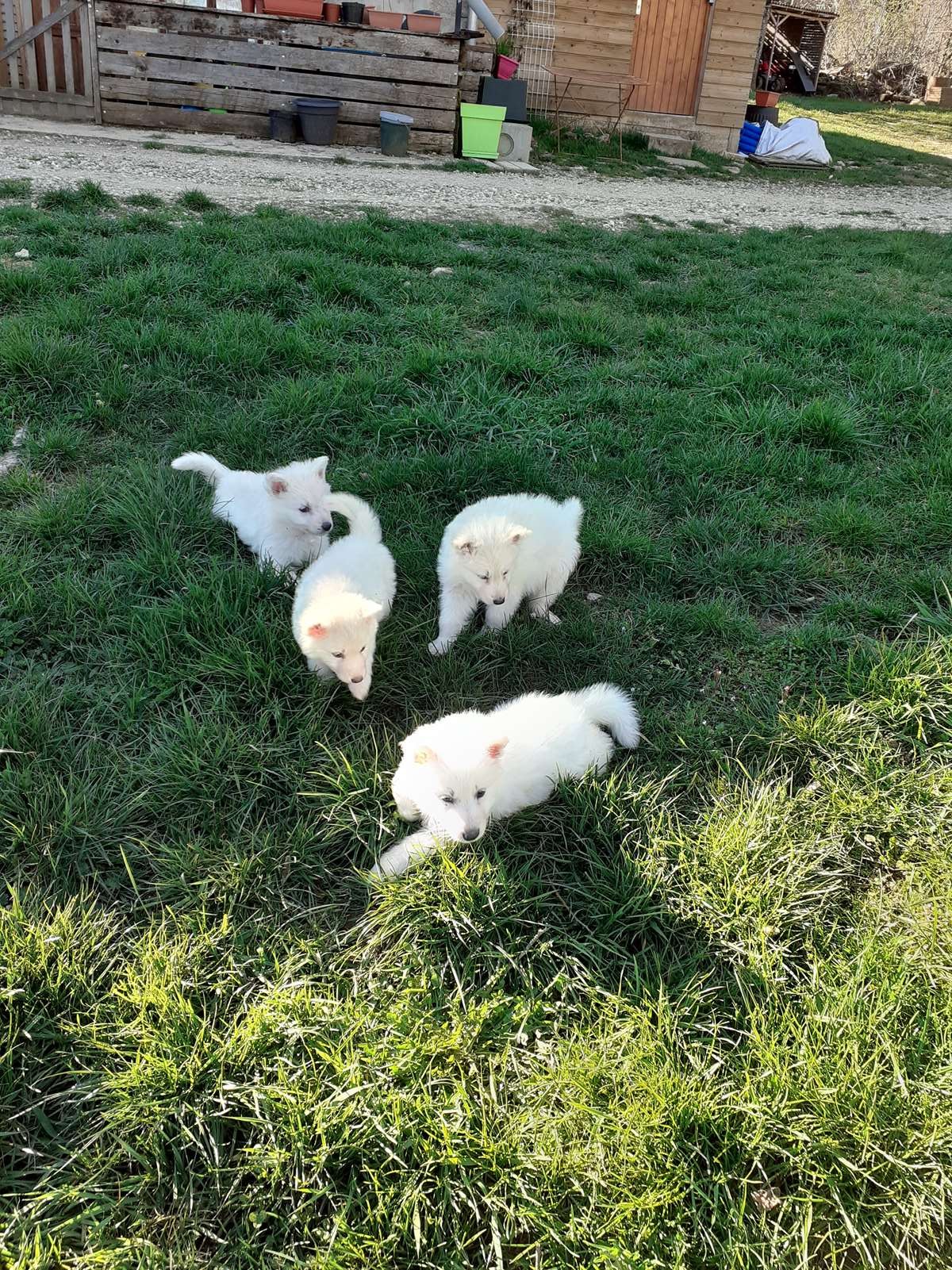 c'est chouette ce super temps