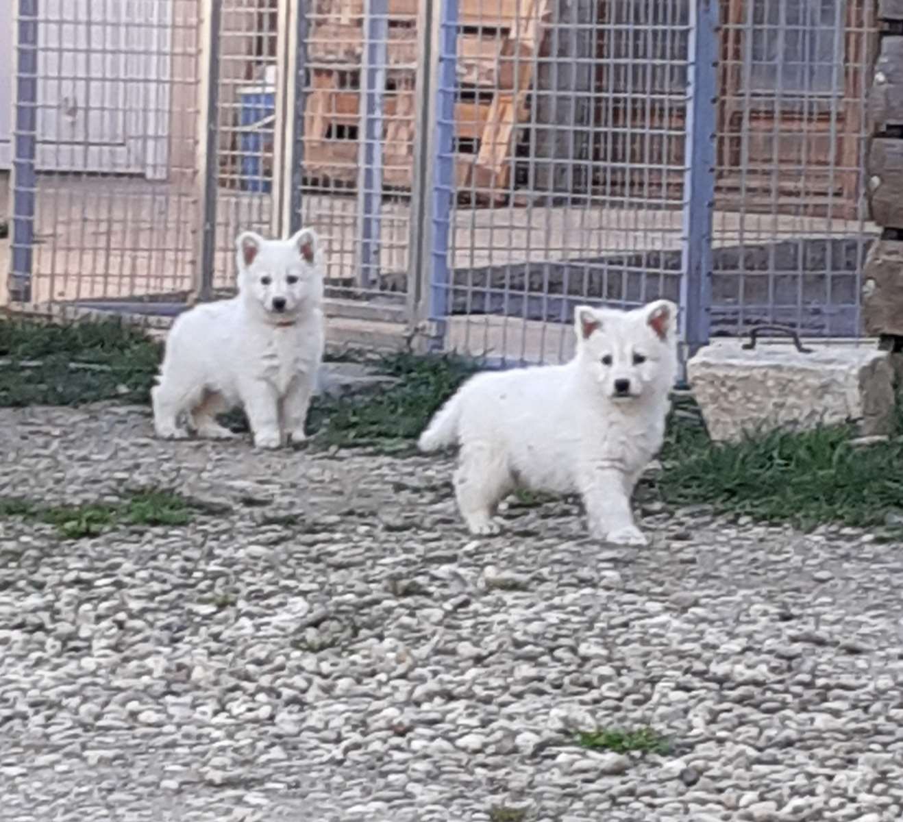 on profite encore du beau temps
