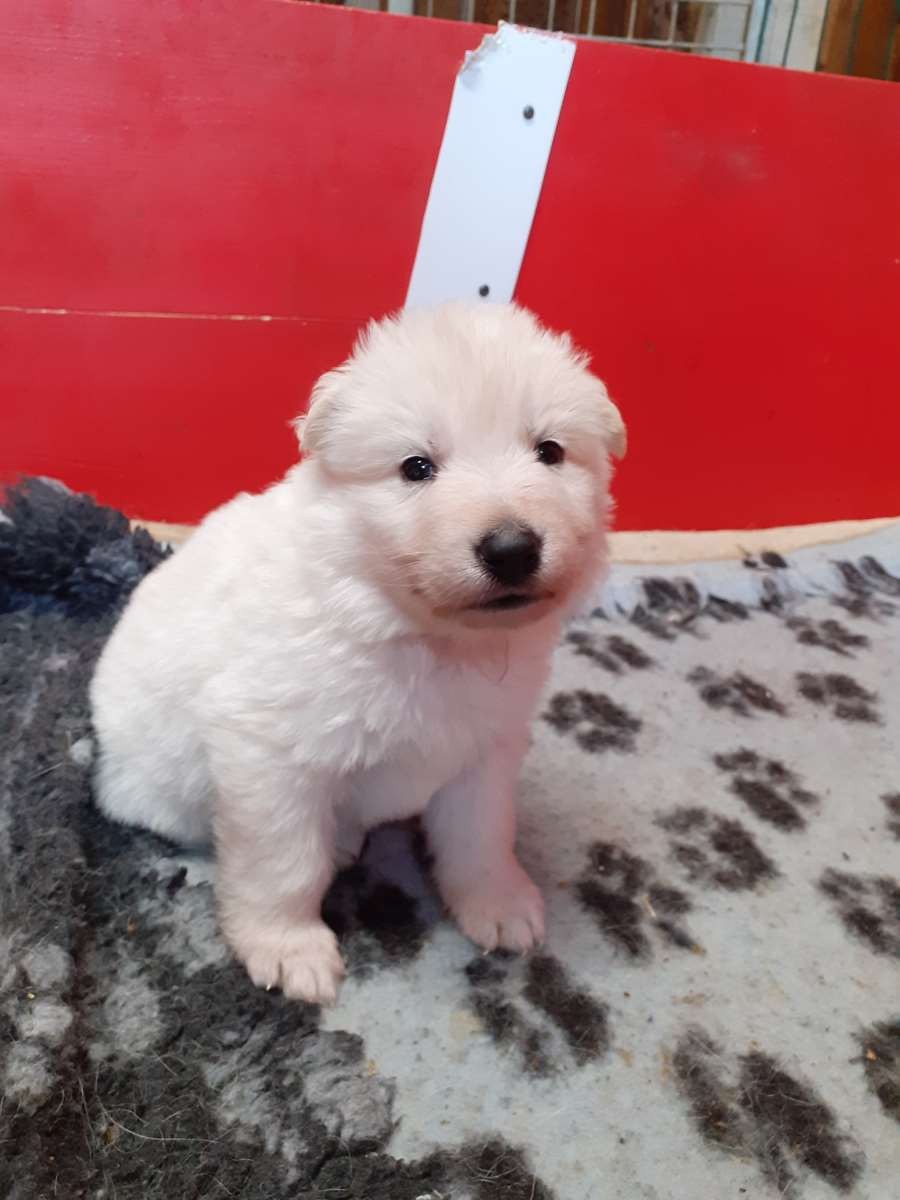coucou toi