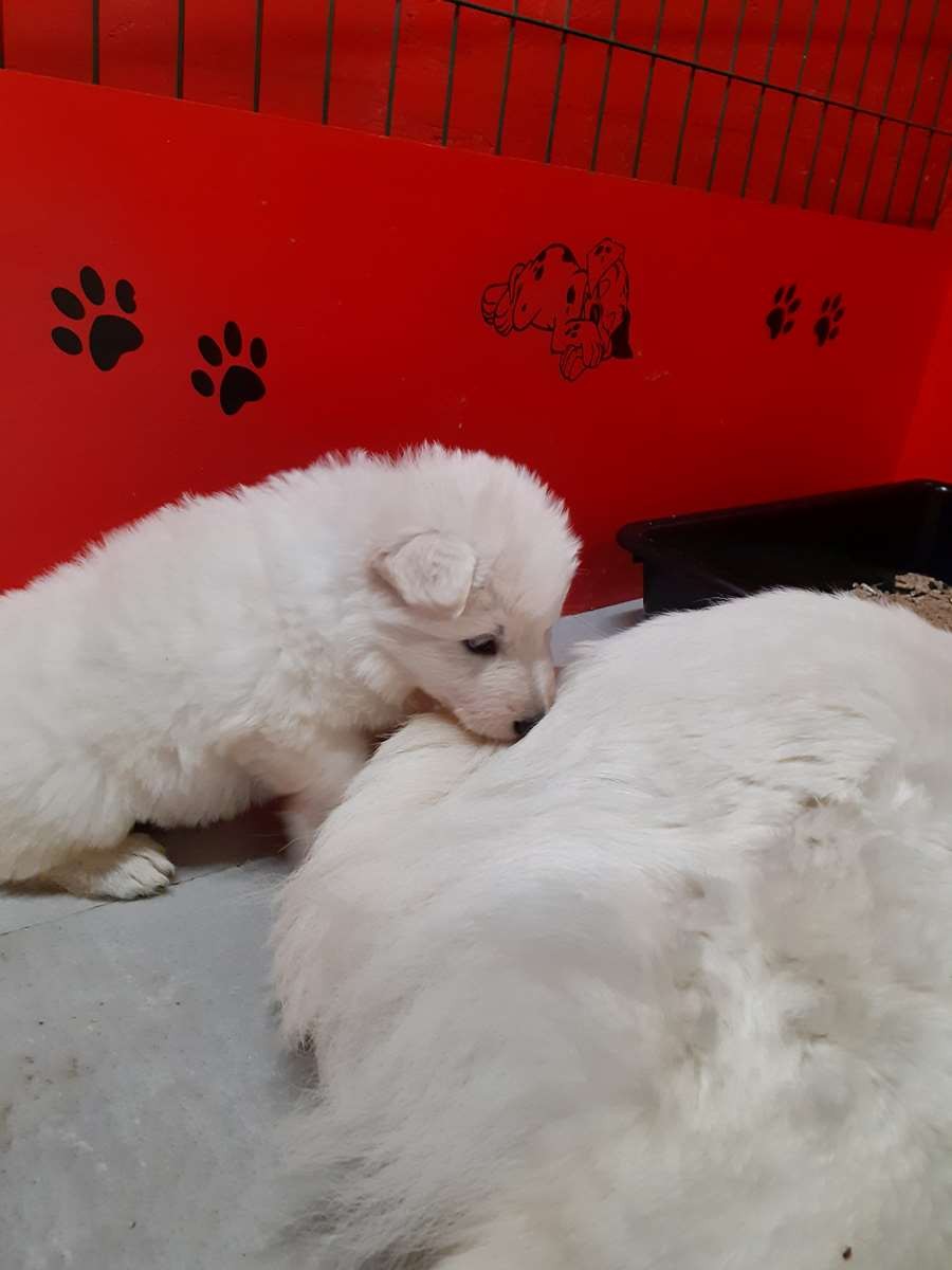 et maman tu joue avec moi dit ??