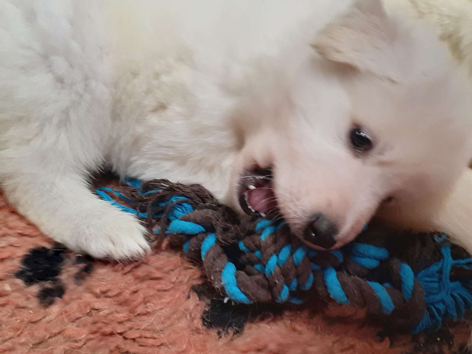 je m'amuse bien !