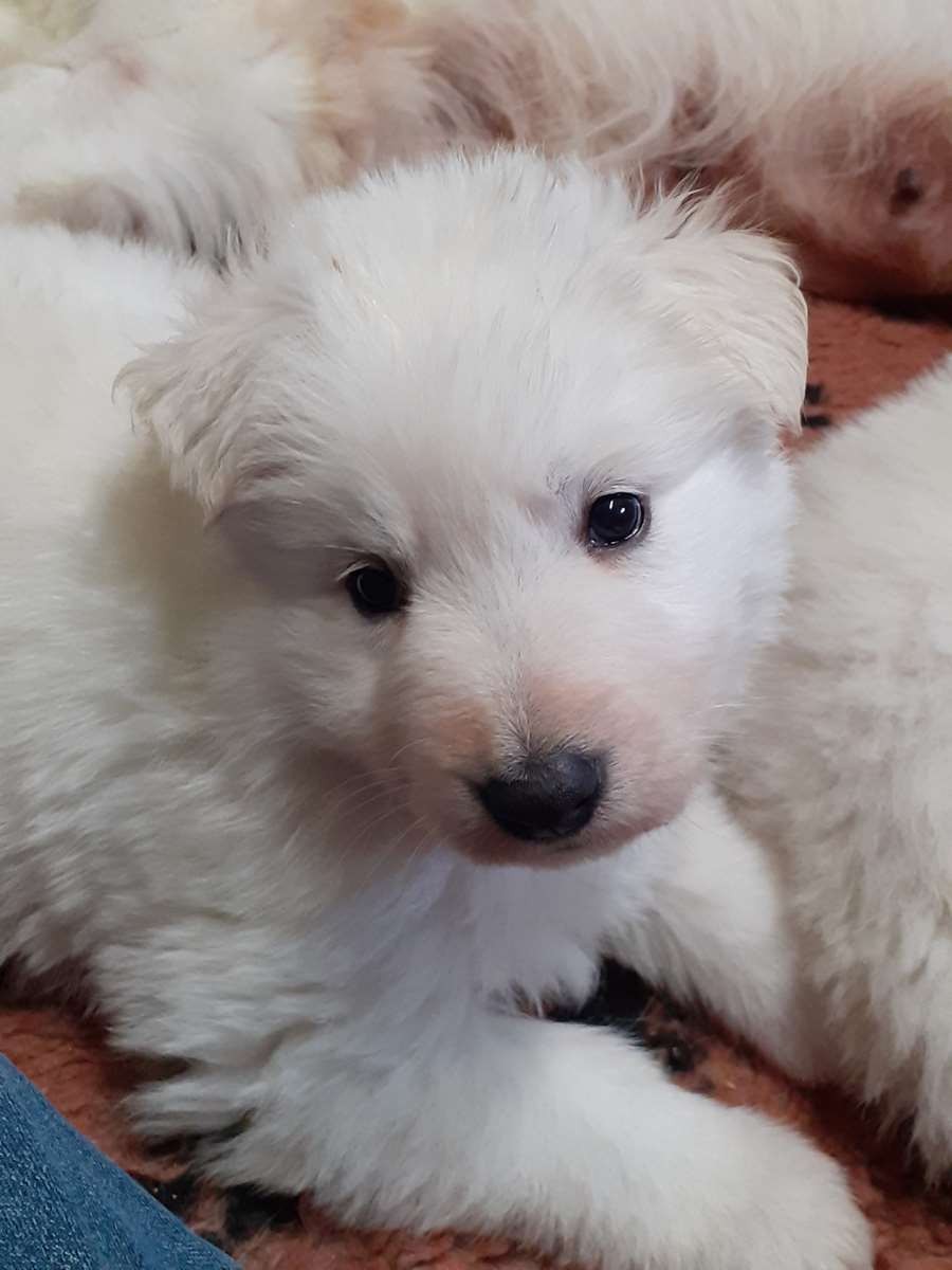 petite bouille à croquer 
