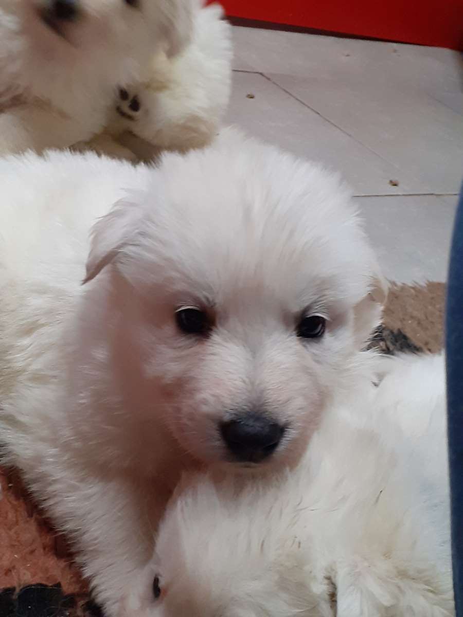 coucou toi