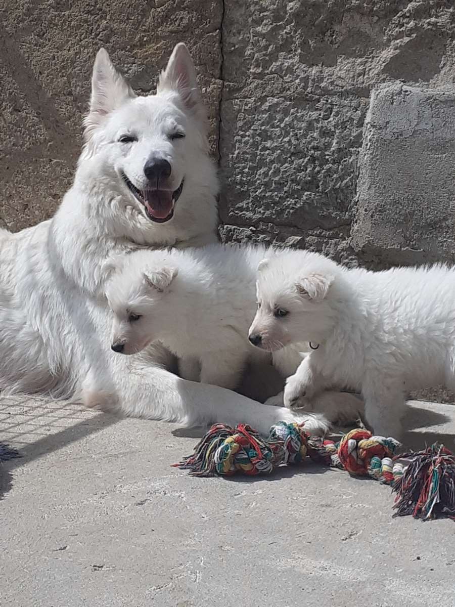 une super maman