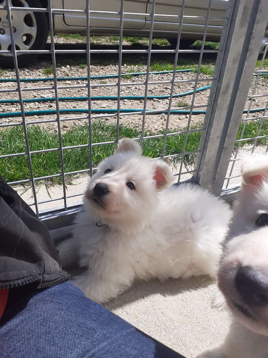 moi aussi je veux être sur la photo