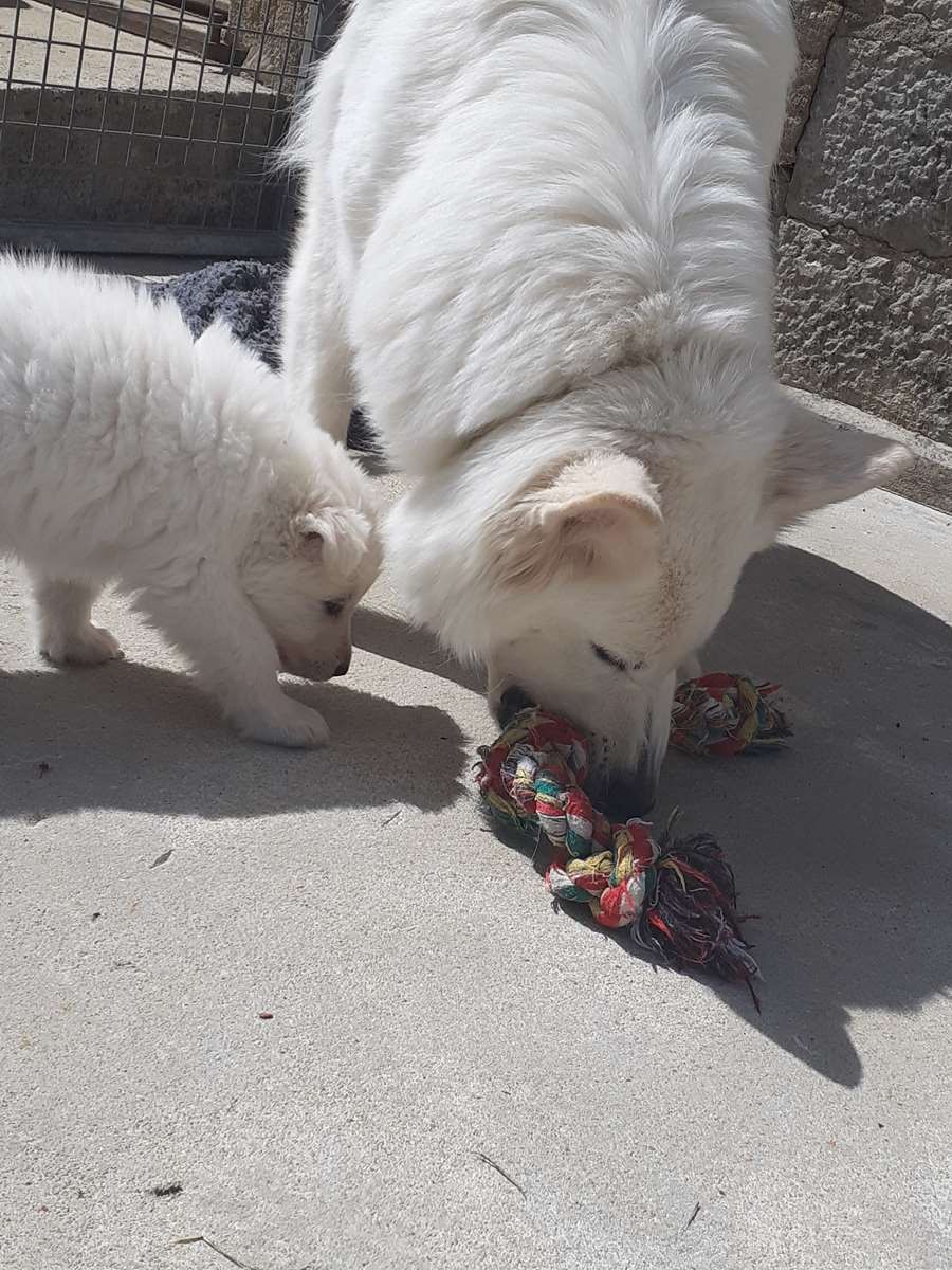 avec le son ça donne : GRRRRRHHH de la part de maman