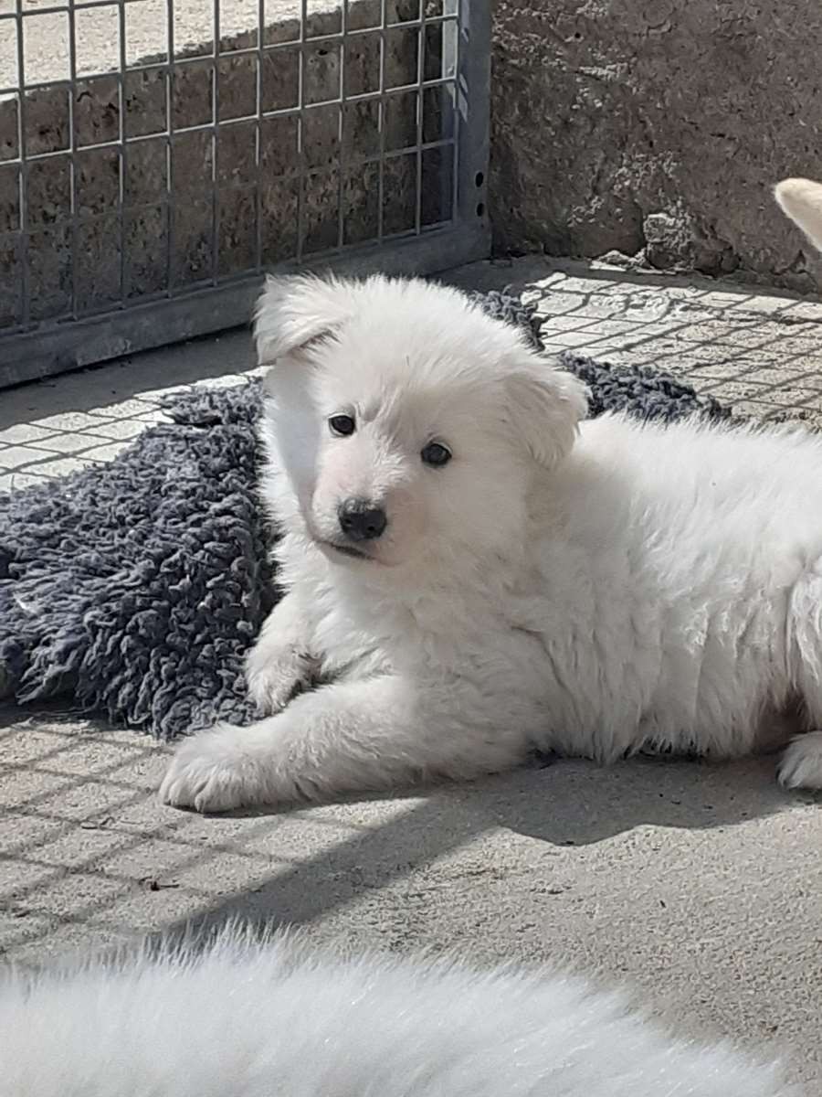 coucou toi