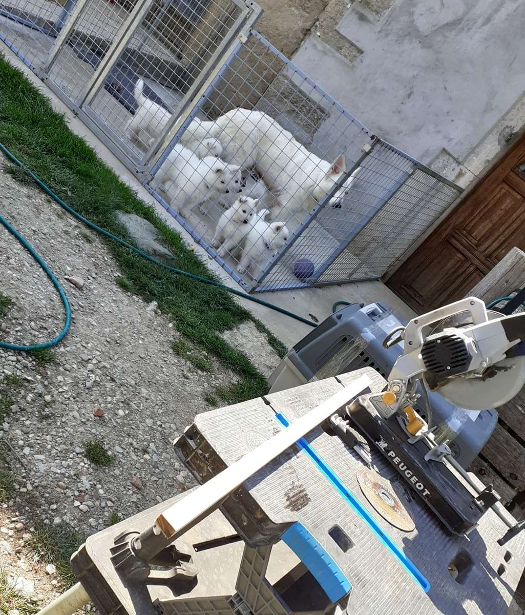 activité bricolage aujourd’hui 